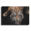 Luxe Metal Art «Nice Kitty» par Epic Portfolio Meta «Nice Kitty» par Luxe Metal Portfolio-101629916