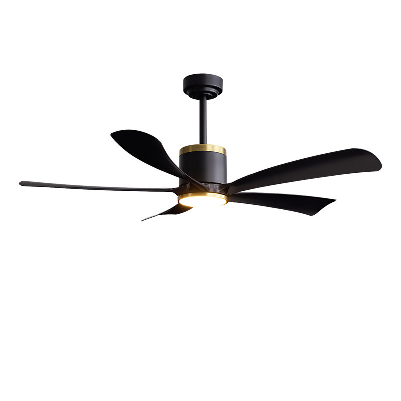 Ventilateur de plafond 52 "avec lumière