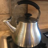 OXO Brew Brushed Stainless Steel 1.7 Qt Classic Tea Kettle - Fante's  Kitchen Shop - Since 1906