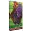 Dougray «Welcome Rooster», reproduction de peinture acrylique sur toile tendue-30361859