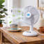 16" Desk Fan with Oscillation, 3 Speeds