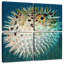 Poisson-globe Brampt-109134544