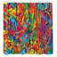  Rideau de douche Rainbow-800331949