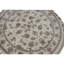 Hand Knotted Area Rug in Ivory