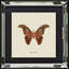 Single Picture Frame Print on Wood