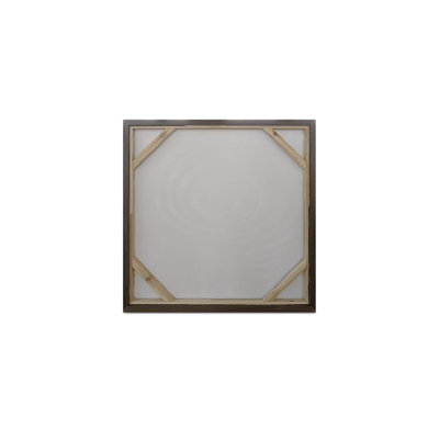 Reflection Framed Painting