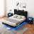 Floating Bed Frame With LED Lights, Upholstered Bed Frame With Headboard And Storage-282253888