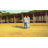 10x10 FT Center-top Folding Canopy-121551222