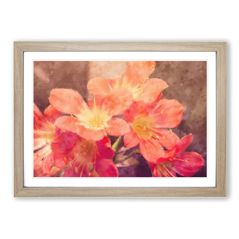 Pink Flowers - Framed Print, 36cm H x 48cm W x 2cm D, Oak Framed