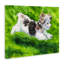 Toile de course Happy Maltipoo, conception de George Dyachenko-427668919