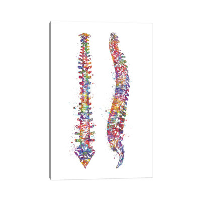 Spinal Cord II by Genefy Art - Print on Canvas