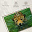 Brampt nageant Jaguar-107845297