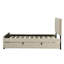 Lit simple gigogne rembourré en velours moelleux-1090099871