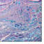 Tapis abstrait bleu / mauve tissé à la machine-62234041