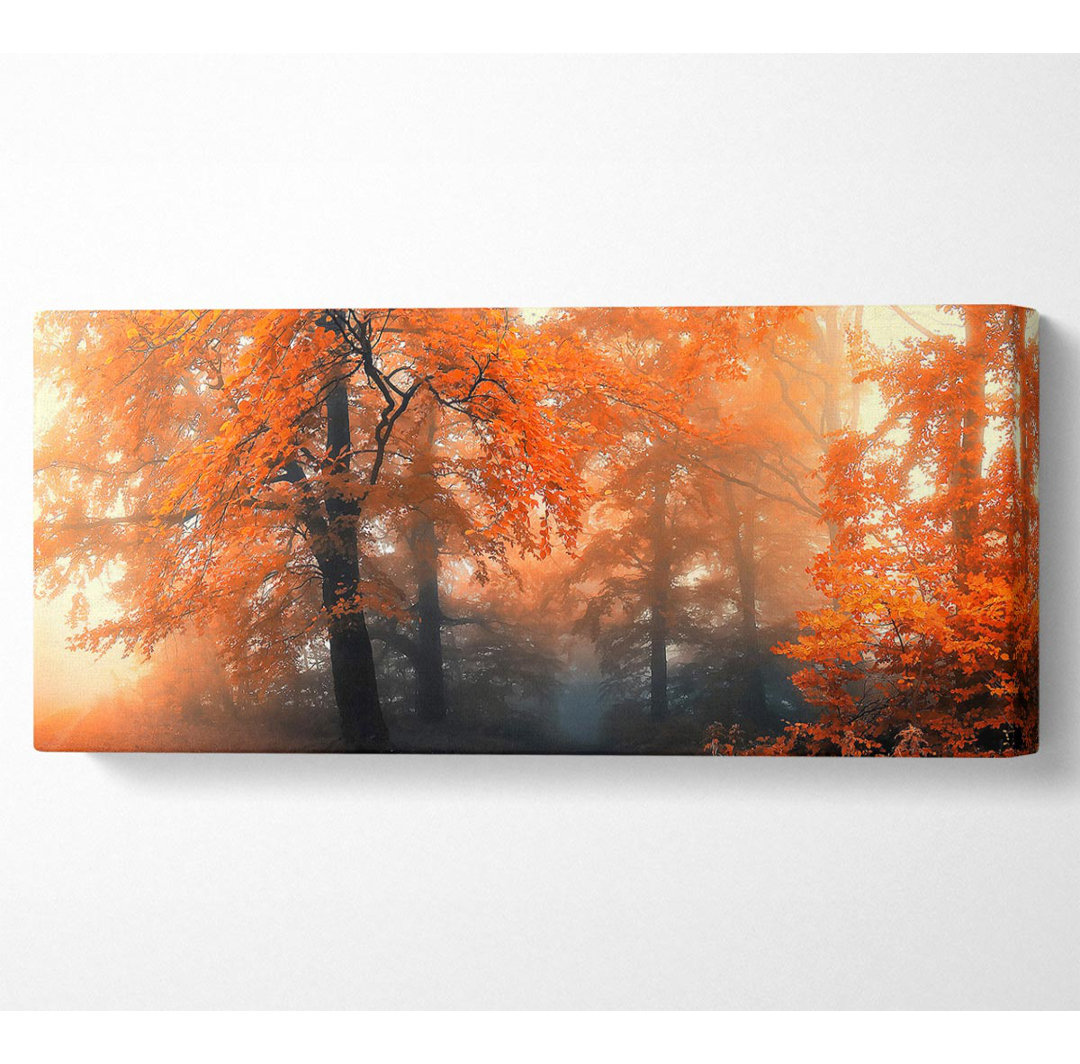 Herbst Orange Mist - Kunstdrucke auf Leinwand