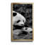 Panda Play - Photographie avec cadre photo sur toile-628238630-628238625