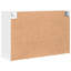 Shoe Cabinet-307641255