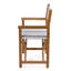 Zaniya Folding Director Chair