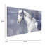 Grey Horse - Wrapped Canvas Painting