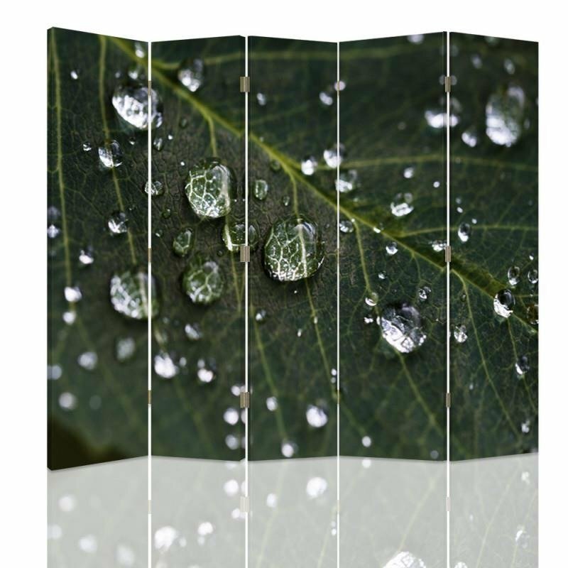 Raumteiler Rain Drops on a Leaf mit 5 Paneelen