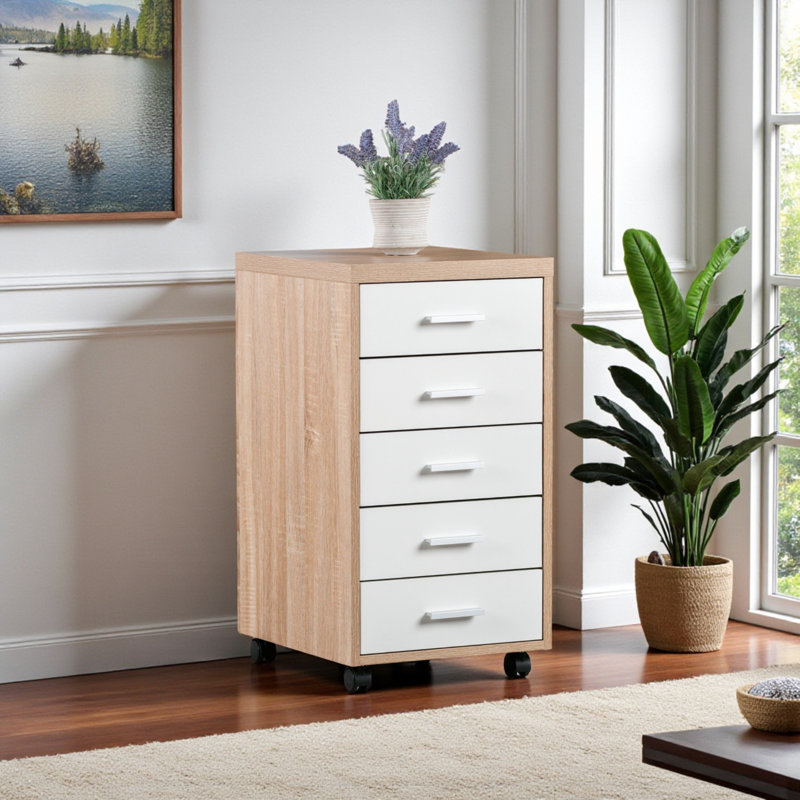 Dandoy 5-Drawer Storage Cabinet with White Finished Wood, 28.96'' H X 15.59'' W X 17.47'' D