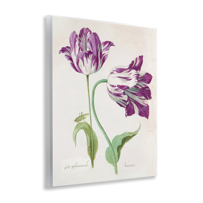 Plaque murale deux fleurs tulipes mauves, design par Jacob Marell