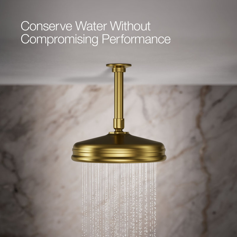 Traditional Rain Shower Head, Vibrant Brushed Gold