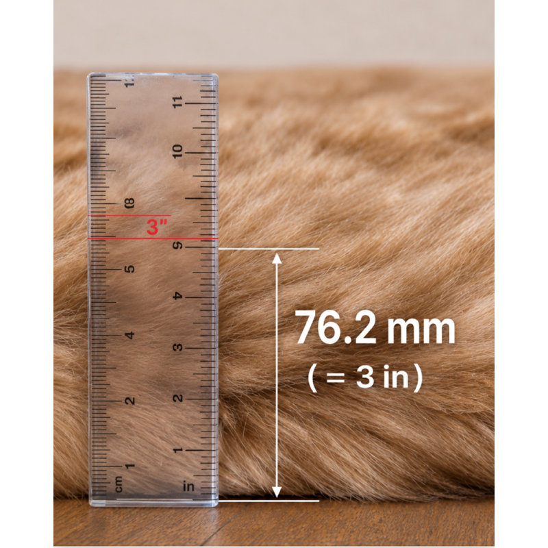 Tapis fantaisie, Nouveauté 8 pi x 9 pi