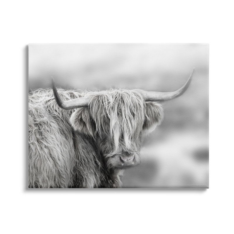 " Peaceful Detailed Monochrome Longhorn Cattle Portrait " by Danita Delimont, Wrapped Canvas, 20" W x 16" H