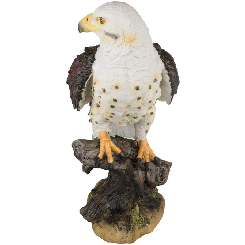 Oiseau de la faune aérienne de montagne