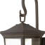 Lanterne murale d'extérieur à 2 ampoules H 20 po Bromley-1557273156