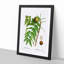 Black Walnut Tree by Pierre-Joseph Redoute - Picture Frame Graphic Art Print-55512409-55512413