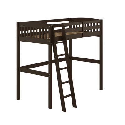 Jahliah Kids Twin Loft Bed