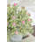 Delicate Fruit In Pot-750916419