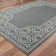 Junor Oriental Indoor / Outdoor Rug