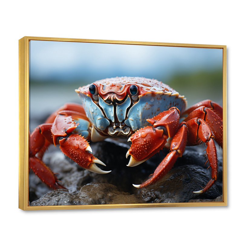 Crab Coastal Guardian sur toile, Cadre flottant doré, 24" H x 32" W