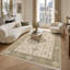 Oriental Cotton and Chenille Flatweave Area Rug-1390486086