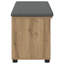 Storage Bench-1993808435