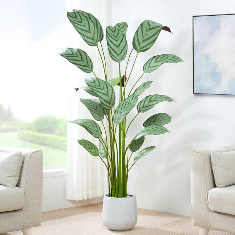 Ankitha Faux Bird of Paradise Plant, 180cm H  x 30cm W  x 30cm D