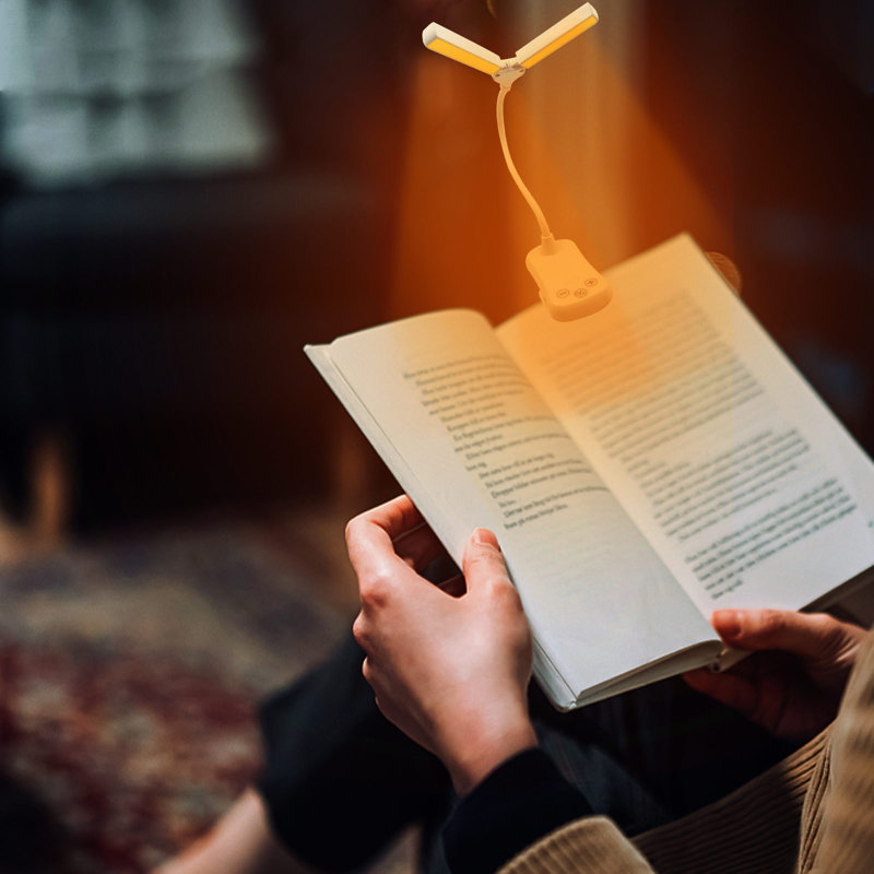 Petite lampe de lecture à double tête, lumière de musique à trois boutons, pince de protection pour les yeux, lampe de livre, lampe de lecture