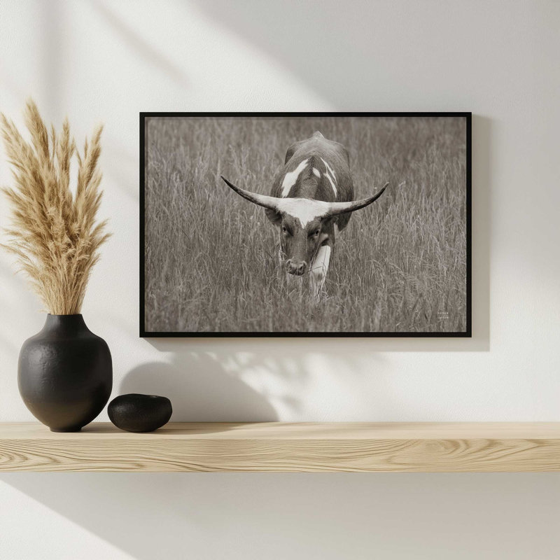 «Rainy Pasture II BW» par Nathan Larson, reproduction d'art, 30 W x 20 H, Tan, Framed Print