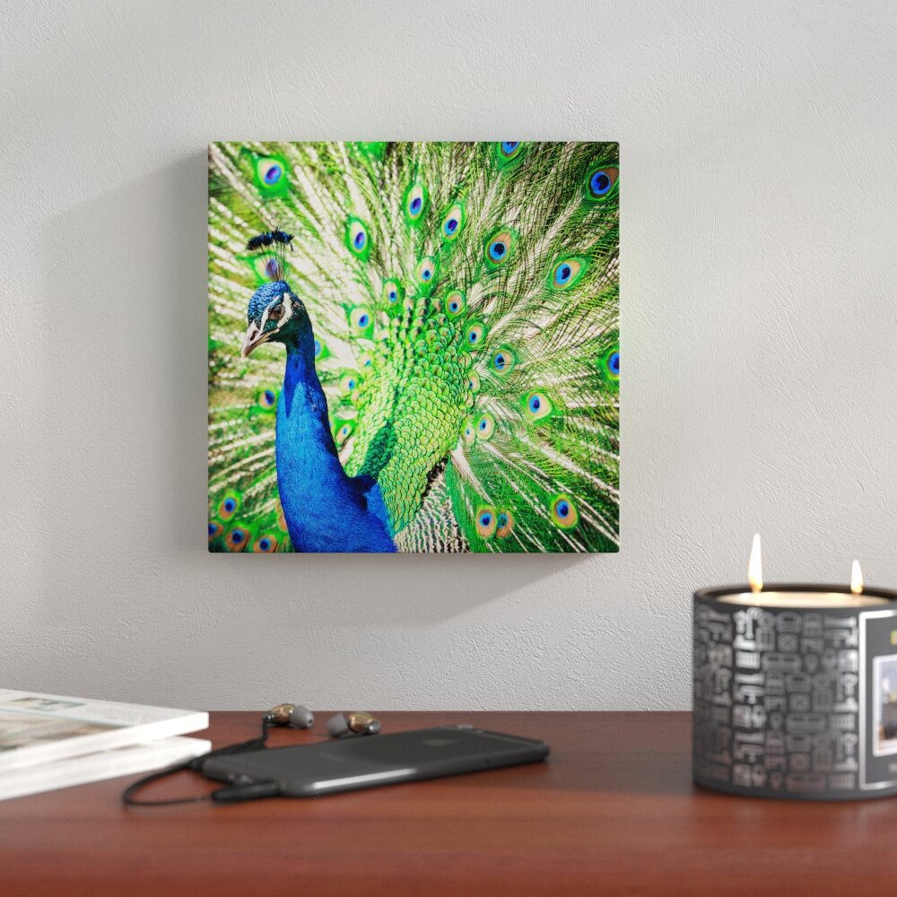 Glasbild Peacock, Kunstdruck