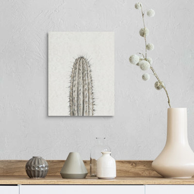 «Cactus Study III» par Timothy O 'Toole - reproduction d'art sur toile