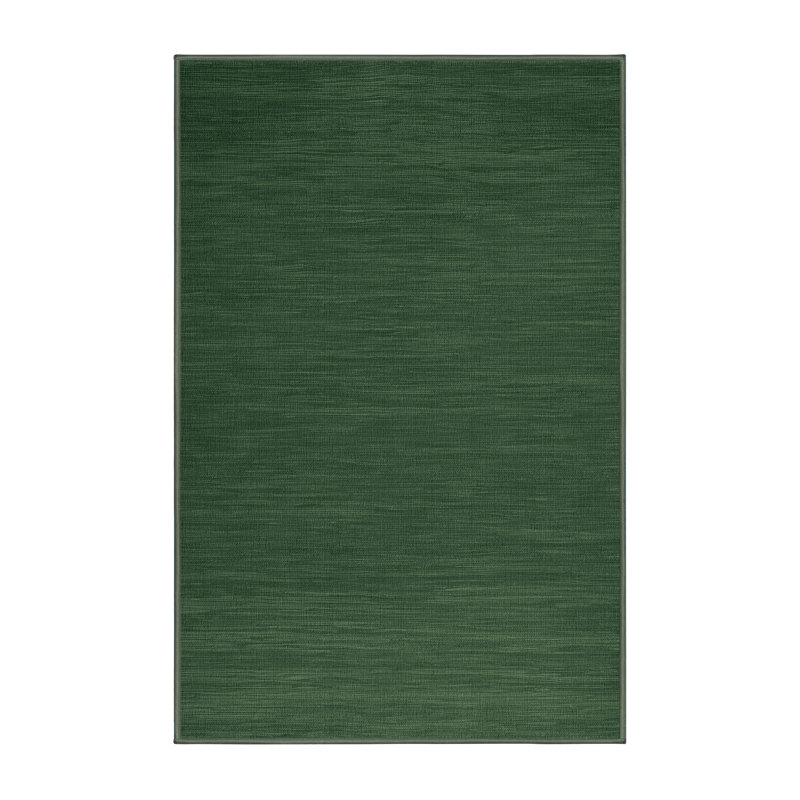 Machine Washable Solid Green Area Rug, Rectangle 2' x 3'
