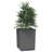 2/4x Planters Polypropylene Raised Garden Bed Plant-1205542075-1205542074