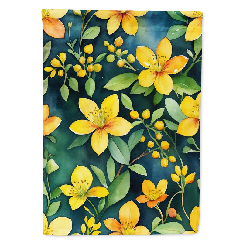 Orchidées paphiopedilum, drapeau du jardin, L'hypericum ou le millepertuis