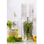 Kilner Herb Keeper