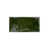 Erba Green