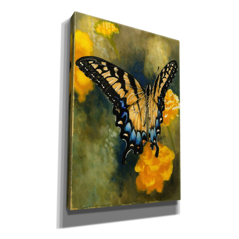 «Ariad Delicate Belle on Canvas» par Barbara Keith, reproduction, H 26 po x l 18 po x P 0,75 po