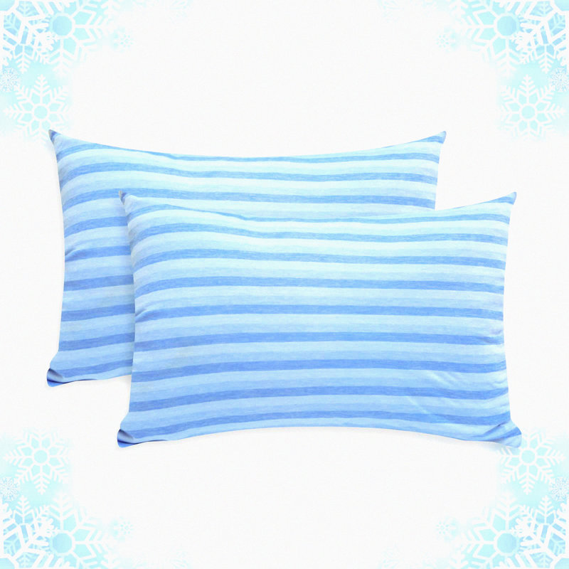 ArcticDream Cooling Pillowcase Set - Queen Size, Double Sided Cold & Moisture Wicking, Hidden Zipper, Cold Tech Protectors for Hot Sleepers & Night Sweats - Set of 2